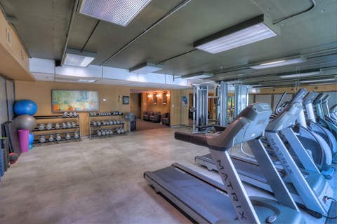 Luxury Apartments in Buckhead | Wesley Townsend Apartments | Fitness Center